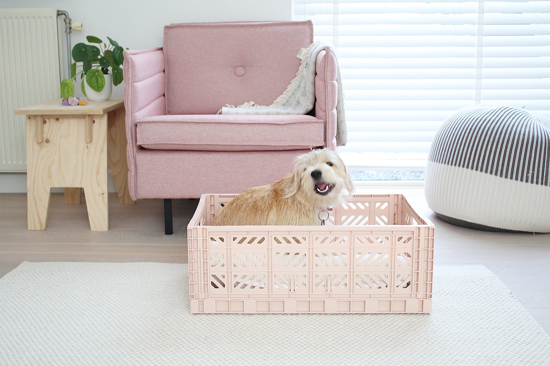 KLAPPBOX MAXI