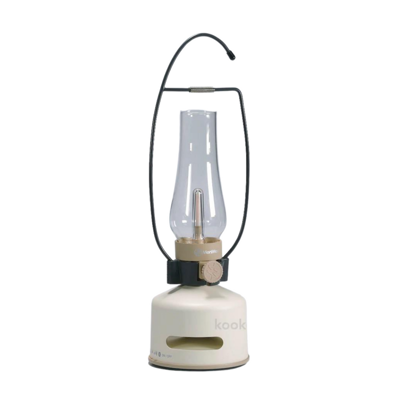 LED LATERNE MIT MUSIK