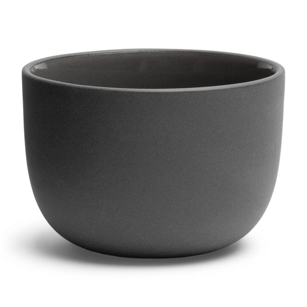 Barista Cups