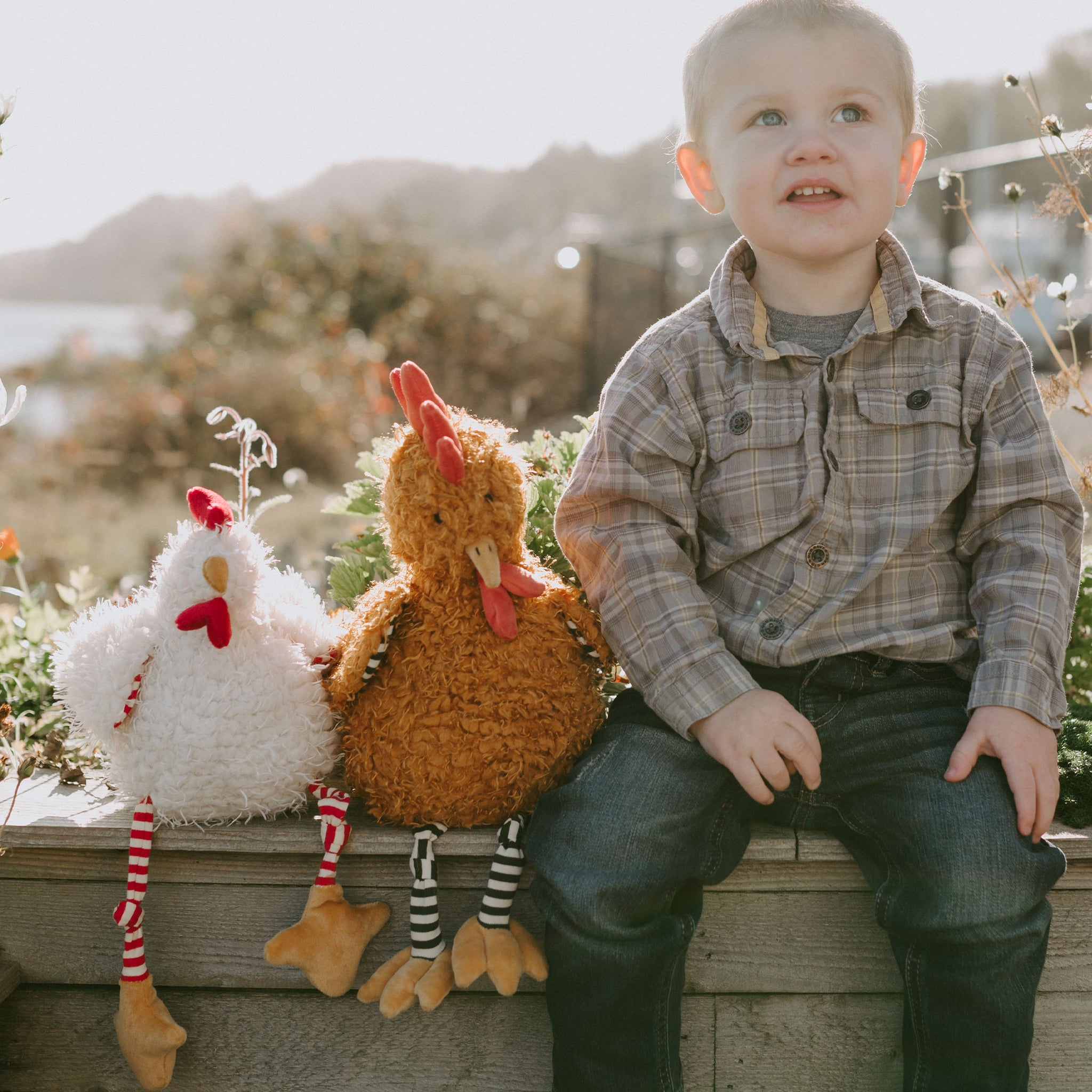 Kuscheltier Huhn ‚Clucky‘