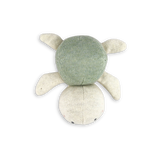 Babyrassel Schildkröte