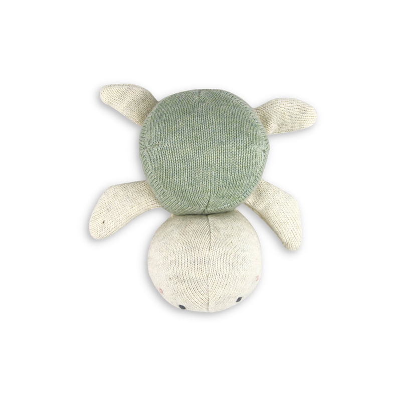 Babyrassel Schildkröte