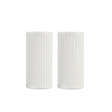 2er Set Salz-& Pfefferstreuer Groovy