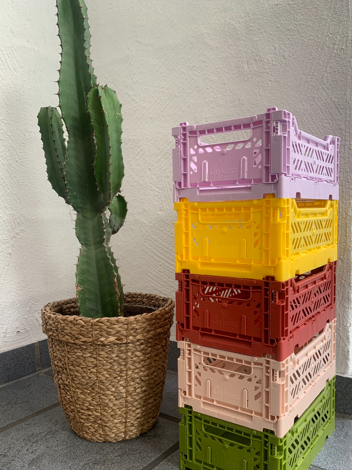 KLAPPBOX MINI (4594053054522)