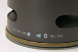 LED LATERNE MIT MUSIK (6755049865274)