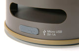 LED LATERNE MIT MUSIK (6755049865274)