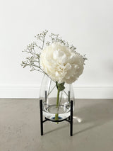 Vase/Windlicht Taro (6768732536890)
