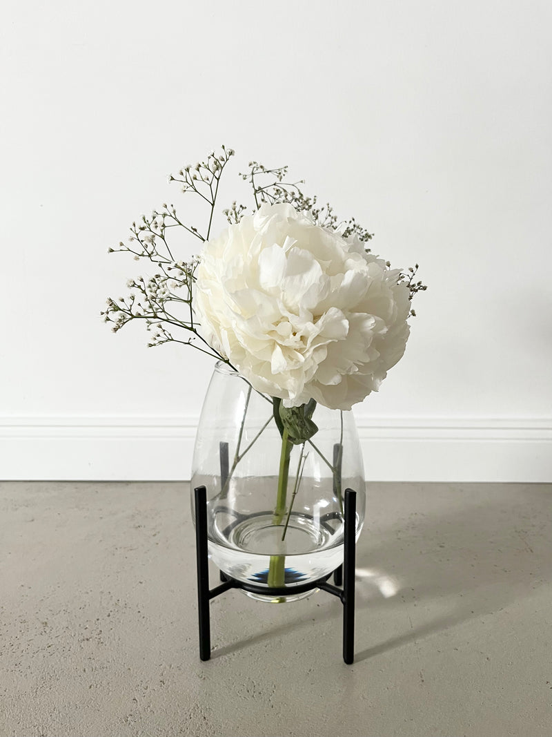 Vase/Windlicht Taro (6768732536890)