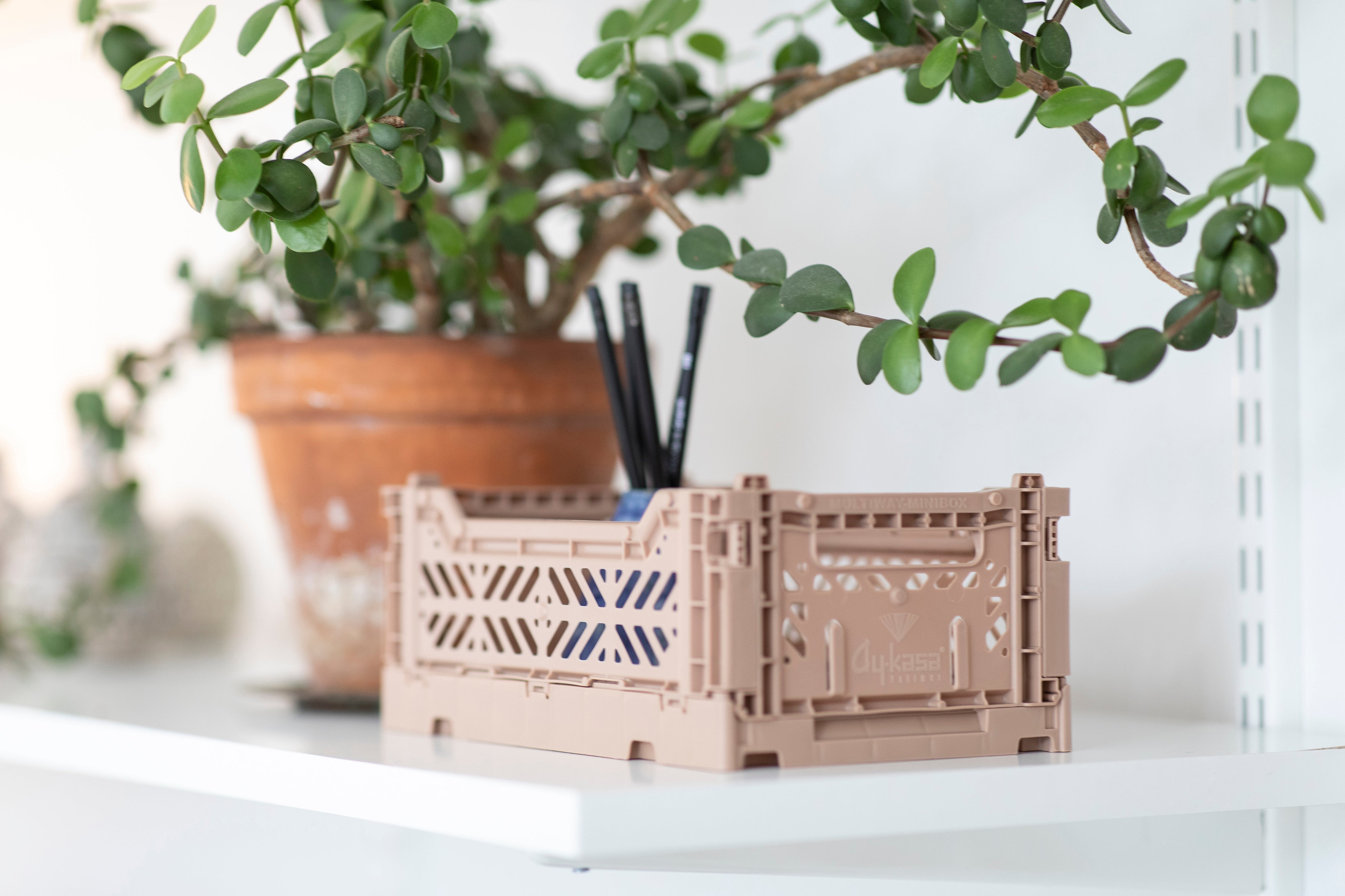 KLAPPBOX MINI (4594053054522)